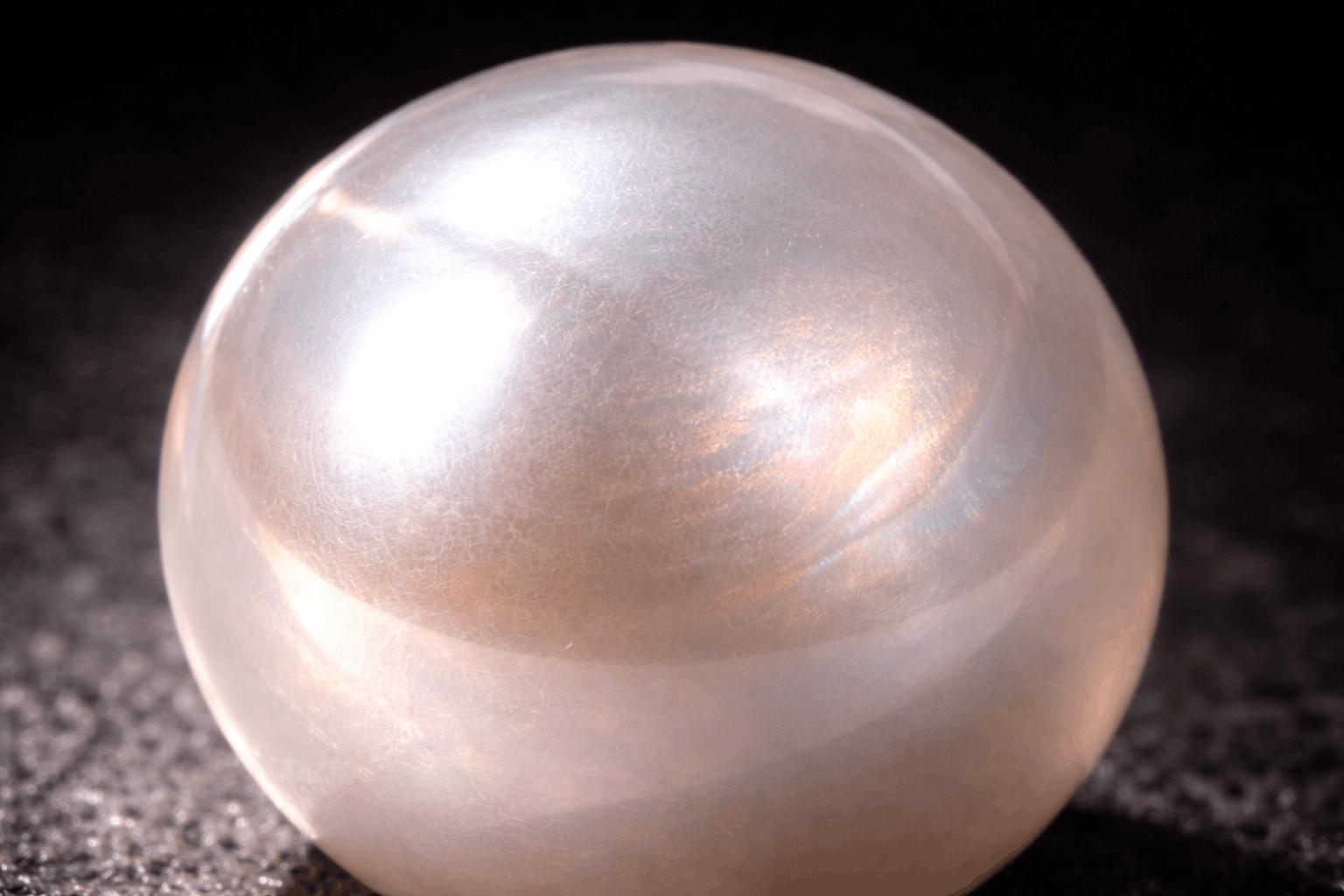 02. Il processo di formazione passo per passo