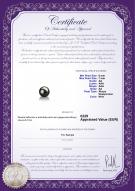 product certificate: AK-B-AA-67-L1