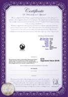 Certificato di prodotto: AK-B-AA-67-L1