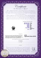 product certificate: AK-B-AA-67-L1