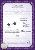 Certificato di prodotto: AK-B-AA-89-E