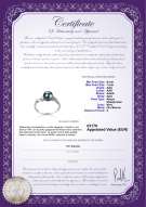  Certificato di prodotto: AK-B-AAA-67-R-Andrea