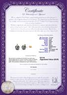  Certificato di prodotto: AK-B-AAA-78-E-Eternity-YG