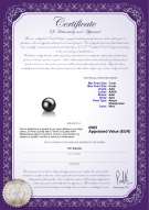  Certificato di prodotto: AK-B-AAA-78-L1