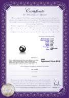 product certificate: AK-B-AAA-78-L1