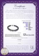  Certificato di prodotto: AK-B-AAA-89-B
