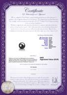 Certificato di prodotto: AK-B-AAA-89-L1