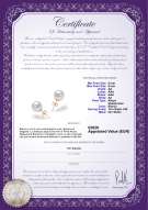 product certificate: AK-W-AA-89-E