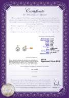 Certificato di prodotto: AK-W-AAA-78-E-Eternity-YG