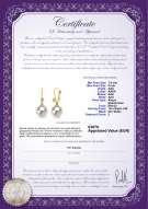 Certificato di prodotto: AK-W-AAA-78-E-Illuminate
