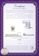 Certificato di prodotto: AK-W-AAA-78-L1