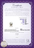 product certificate: AK-W-AAA-78-L1