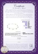 Certificato di prodotto: AK-W-AAA-78-N-Stati