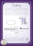 product certificate: AK-W-AAA-78-N-Stati