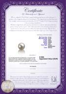 product certificate: AK-W-AAA-89-L1