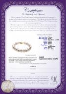 product certificate: AK-W-AAAA-758-B-Hana-8