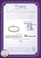 Certificato di prodotto: AK-W-AAAA-859-B-Hana-7