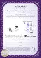 Certificato di prodotto: B-67-E
