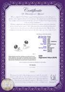 product certificate: B-67-E