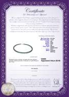 product certificate: B-AA-657-N-Akoy