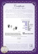 product certificate: B-AA-67-E