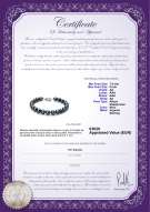 Certificato di prodotto: B-AA-758-B-AKOY