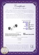  Certificato di prodotto: B-AA-78-E-SS-14K-WGP