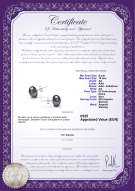 Certificato di prodotto: B-AA-910-E-SS