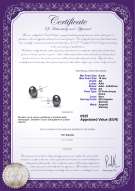 product certificate: B-AA-910-E-SS