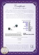 Certificato di prodotto: B-AAA-657-E-Akoy