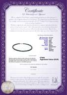 Certificato di prodotto: B-AAA-657-N-Akoy