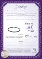 Certificato di prodotto: B-AAA-758-N-Akoy