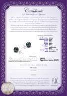 Certificato di prodotto: B-AAA-859-E-Akoy