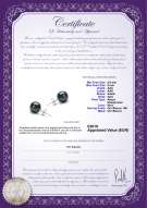 product certificate: B-AAA-859-E-Akoy