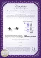 Certificato di prodotto: B-AAAA-67-E