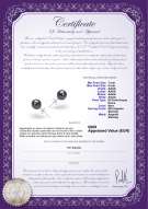 Certificato di prodotto: B-AAAA-78-E