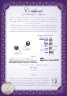 product certificate: B-AAAA-78-E