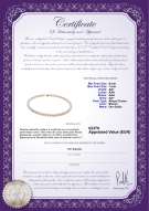  Certificato di prodotto: CAK-W-AA+-67-N