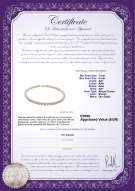 Certificato di prodotto: CAK-W-AA+-78-N