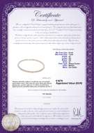 Certificato di prodotto: CAK-W-A+-67-N