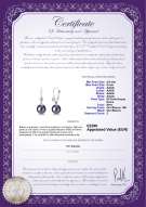  Certificato di prodotto: FLB2BG085-W