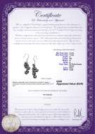 Certificato di prodotto: FW-B-A-37-E-Brisa