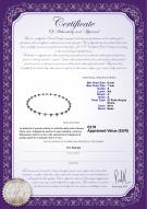 product certificate: FW-B-A-67-N-Atina
