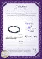 Certificato di prodotto: FW-B-A-67-N-DBL