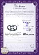 Certificato di prodotto: FW-B-A-67-S-DBL