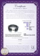  Certificato di prodotto: FW-B-A-89-B-DBL