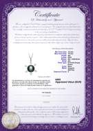 Certificato di prodotto: FW-B-AA-1213-P-Besty