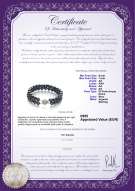  Certificato di prodotto: FW-B-AA-67-B-DBL