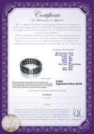 Certificato di prodotto: FW-B-AA-67-B-TRP