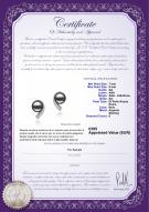 product certificate: FW-B-AA-78-E-Claudia